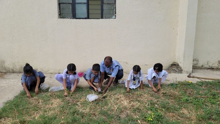 Students working in the school garden