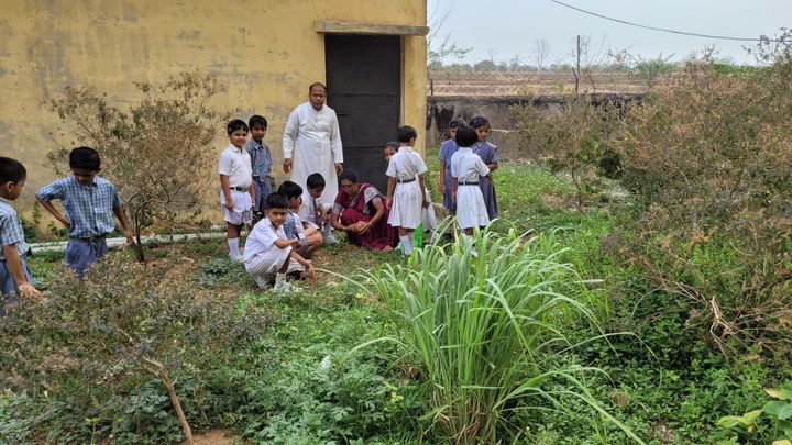 Students on a green campus drive